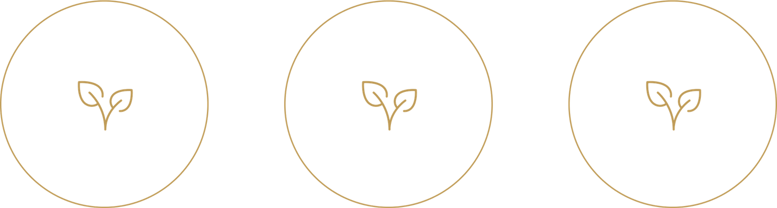 K'ANA Coffee products: convenient gourmet coffee capsules and freshly ground specialty coffee for excellence in every cup