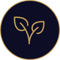 Selection of distinguished high altitude Arabica coffee varieties including Gesha, Pacamara, and Bourbon, prized for exceptional flavor