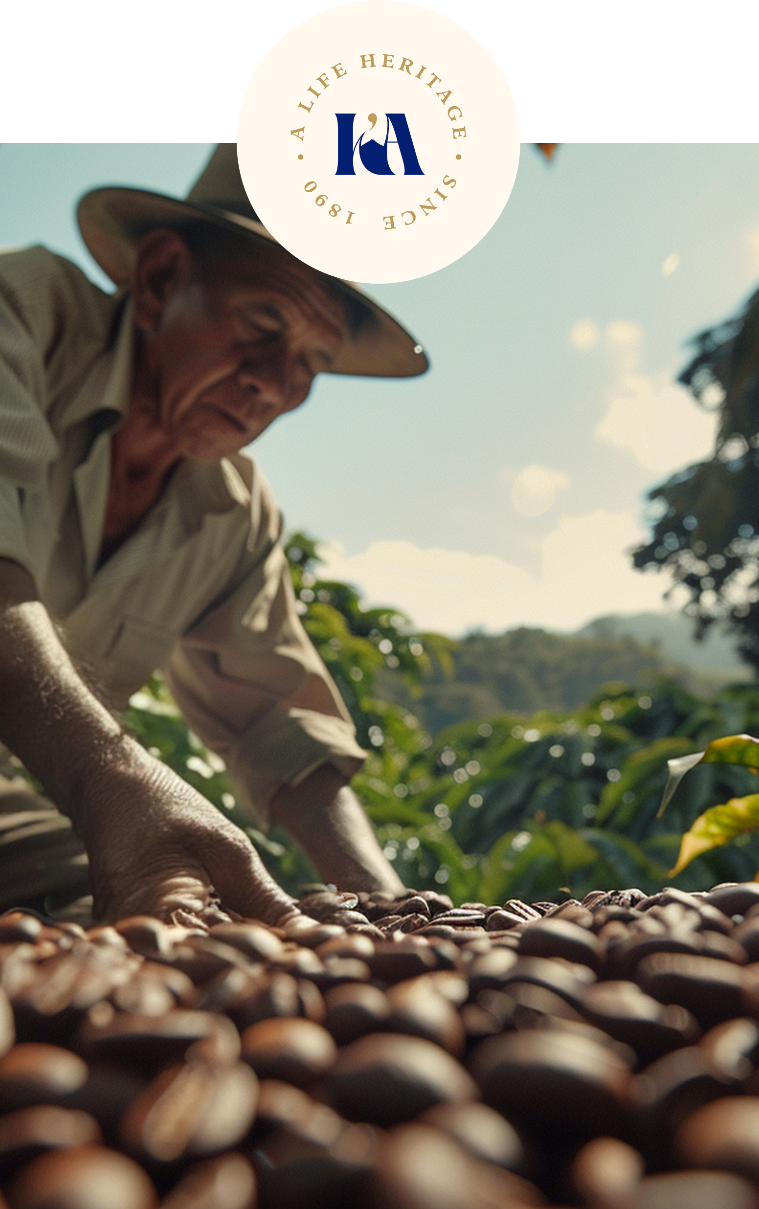 K'ANA Coffee single-origin and blended green coffee offerings for B2B supply and international markets