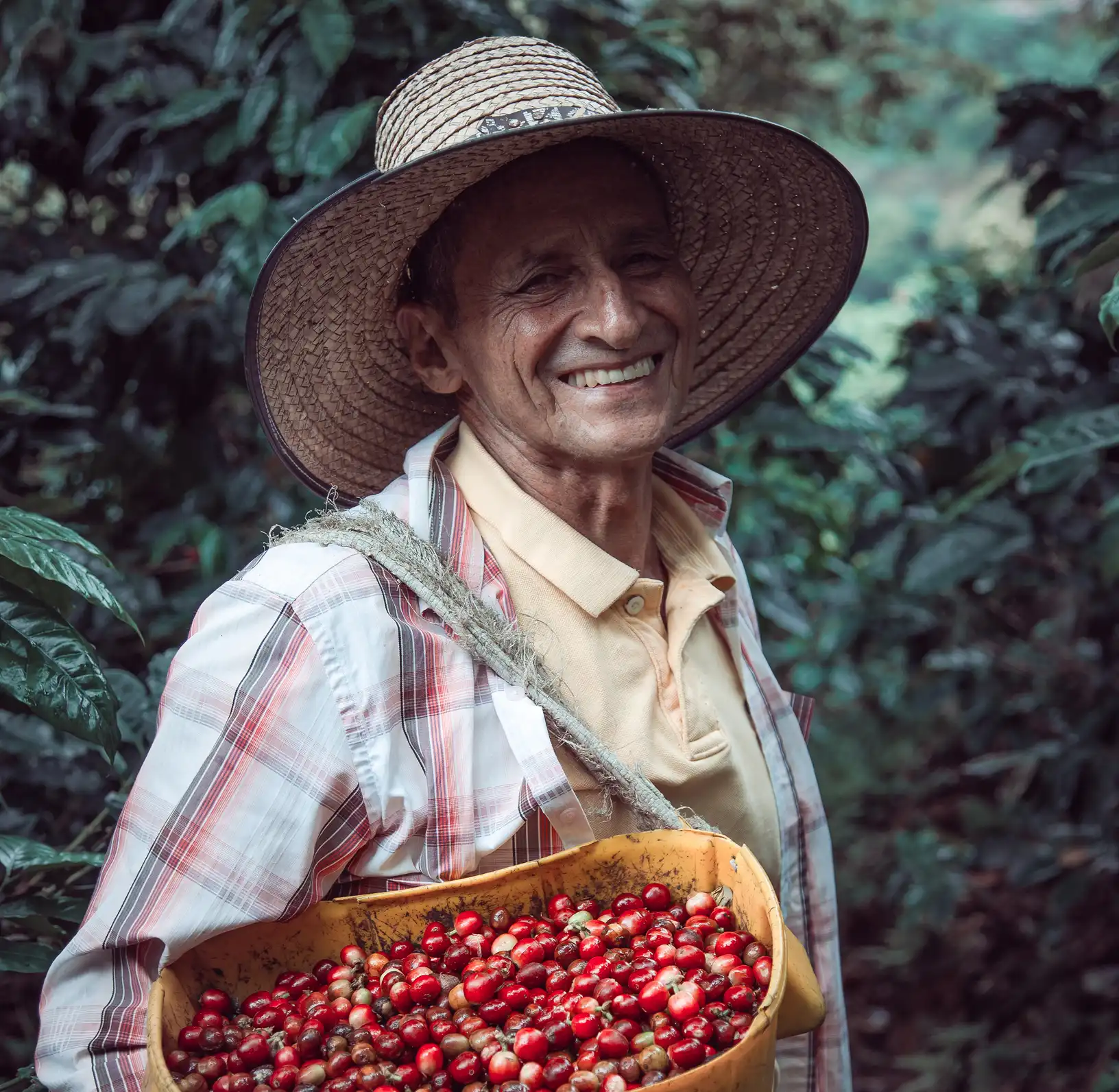 Selecting and inspecting specialty grade beans, emphasizing K'ANA Coffee's handpicked selection and precision processing standards