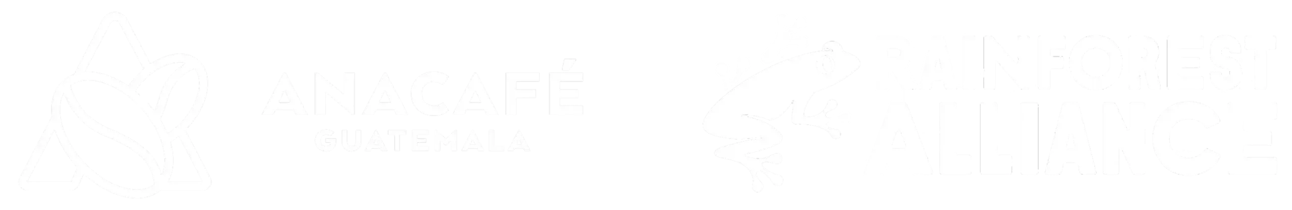 Selection of distinguished high altitude Arabica coffee varieties including Gesha, Pacamara, and Bourbon, prized for exceptional flavor